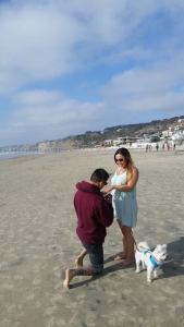 11174953_10204164458938513_3178058550055395443_n