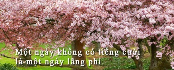 hanhphuc64.jpg