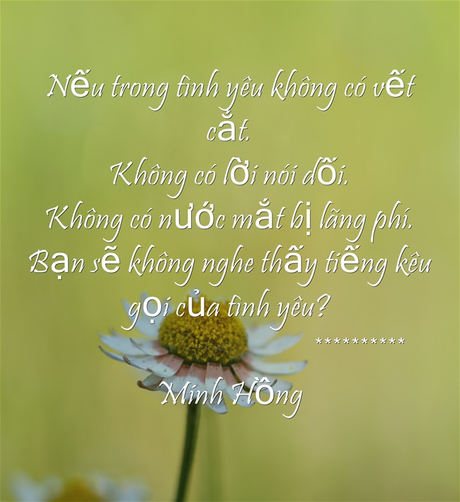 Nu-trong-tnh-yu-khng-c.jpg
